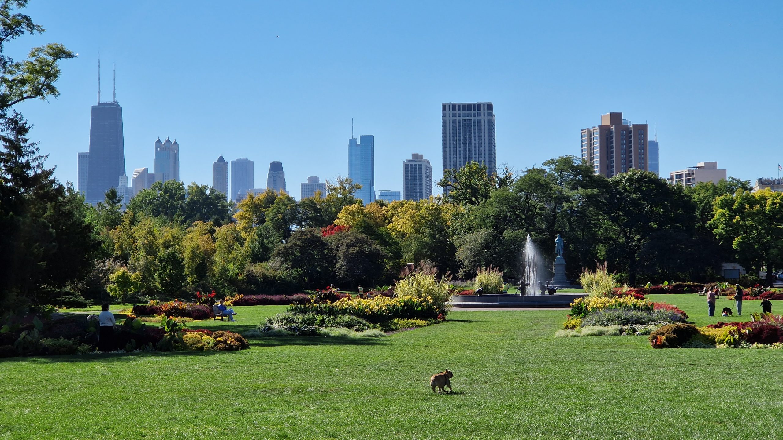 Chicago Park